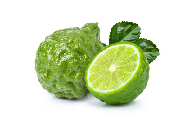 Kaffir lime Image